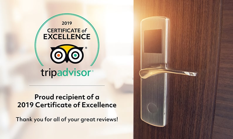 
Tripadviser Hall Of Fame News
