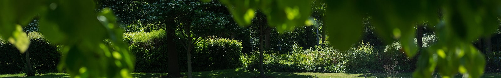 
Green Tourism Banner
