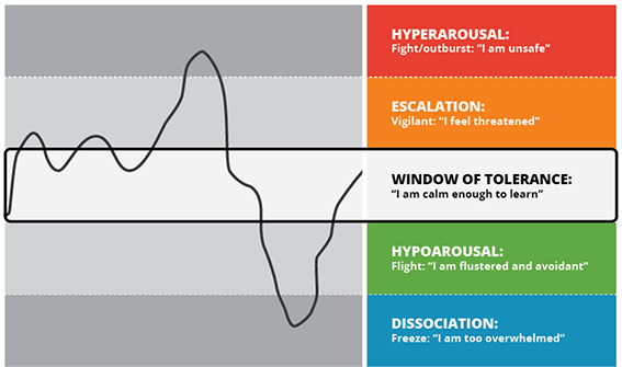 Window of tolerance